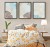 a435eea62b5acfb36f1d5ebc560a2a60.jpg