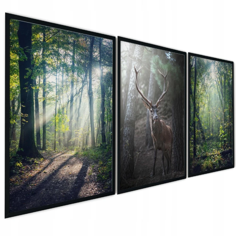 04caf64c492e51efa044a35ac6066f8b.jpg