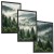 Zestaw 3 Obrazów w Ramach 33x43 cm Las Mgła Góry Natura do Salonu
